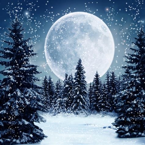 Laeacco Winter Snow Moon Night Forest Scene Baby Children