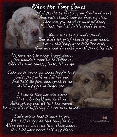 Canine Advocacy Pet Poems Dog Quotes Dog Poems
