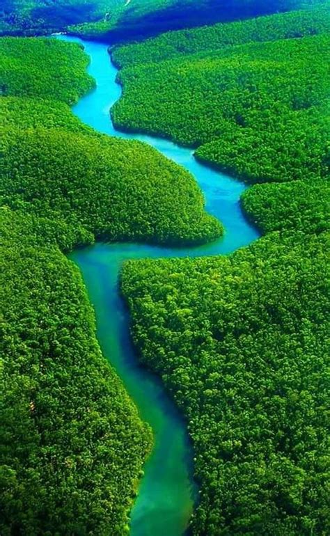Amazon Rainforest Travel Guide And Tips Paysage Brésil Photo Paysage