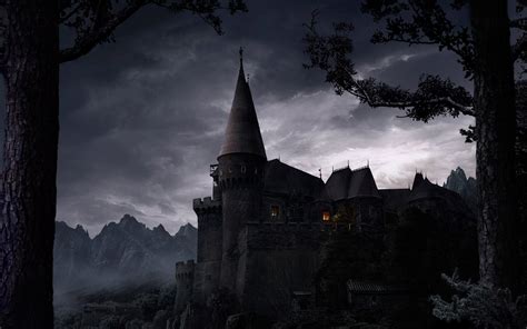 Creppy Black Castle Full Hd Wallpaper And Background Image 1920x1200
