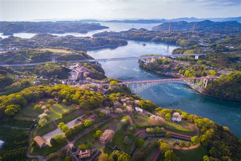 Saikai Bridge Cherry bloom Nagasaki Japan | Dronestagram