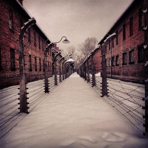 Isabel Brown On Twitter I Will Never Forget The Horror Of Auschwitz