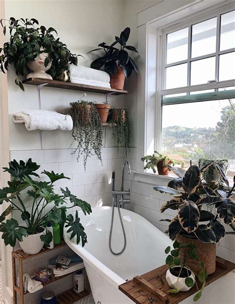 17 Bathroom Plants That Were Styled Perfectly