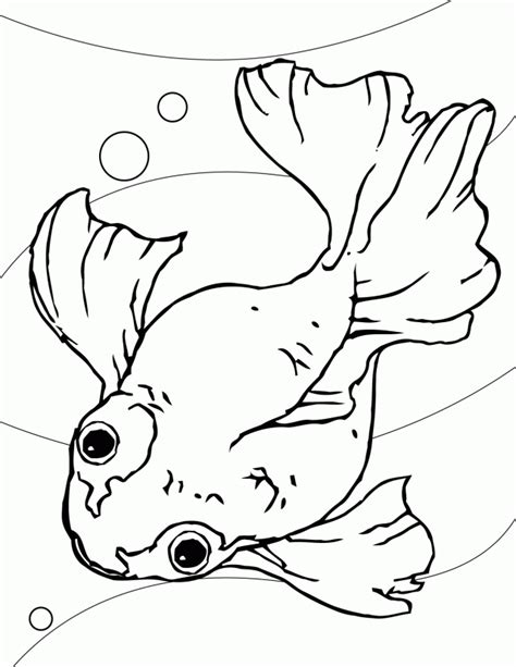 Papaya coloring page graphic vector black and white art for. Fish Cutout Template - Coloring Home