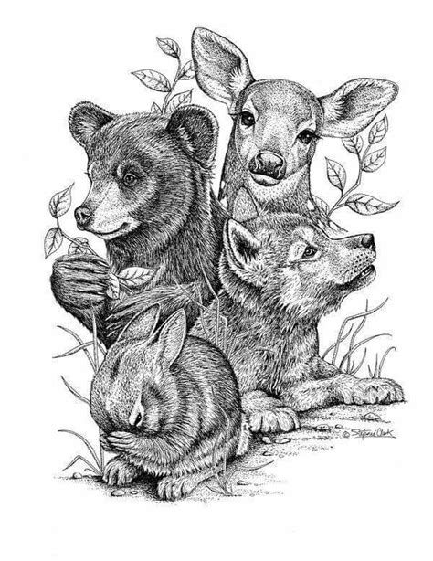 Cute Forest Animals Drawing Animals World