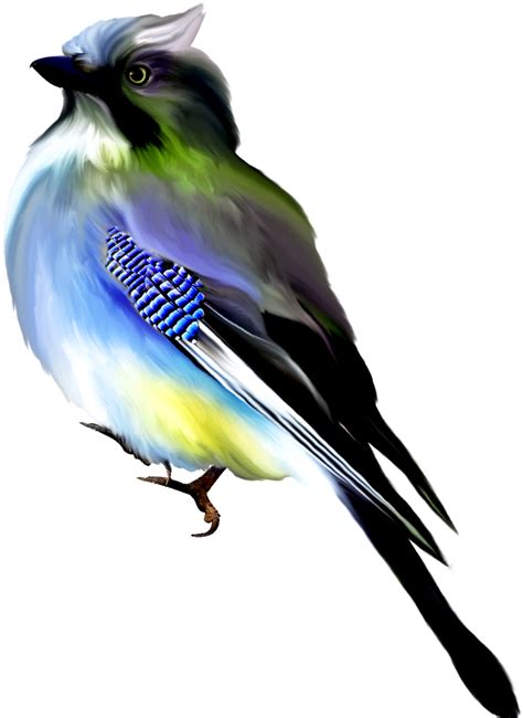 Download Hd Hand Painted Black Blue Watercolor Bird Png Transparent