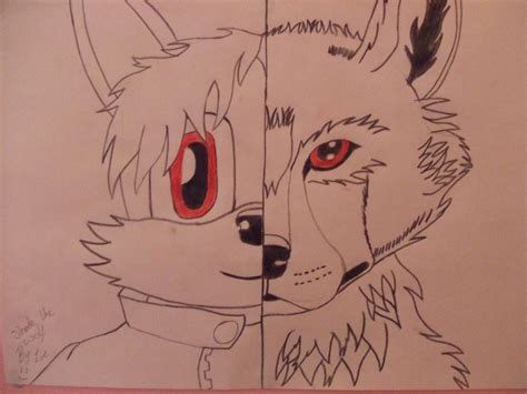 Shade The Wolf Both Forms By Shadethewolf65 On Deviantart