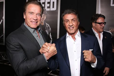 Arnold Schwarzenegger Vs Sylvester Stallone Who Is The Richest Between