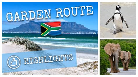 Garden Route South Africa Highlights Safari And Cape Town Youtube