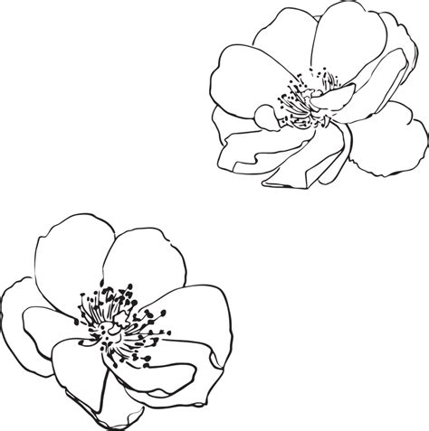 How To Make Drawing Of Rose 14 Free Printable Rose Stencils