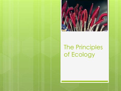 Ppt The Principles Of Ecology Powerpoint Presentation Free Download