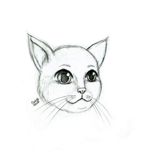 Artstation Cat Sketch