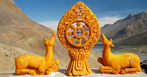 Understanding The Dharma Wheel This Ancient Symbol Holds Secret