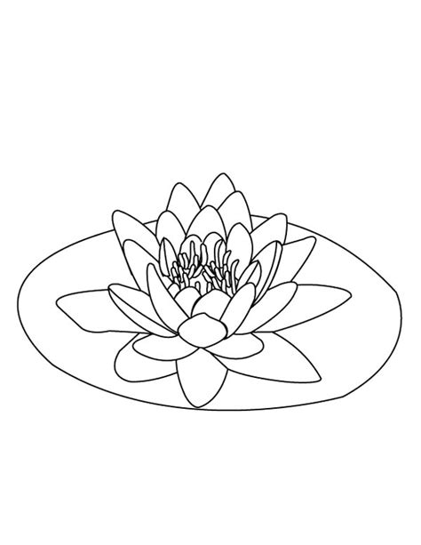 The newest medium of learning means that they can learn things in a brand new way. Lily Pad Flower Drawing at GetDrawings | Free download