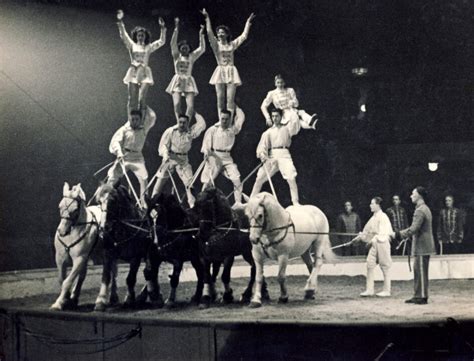 194849 Cirque Royalenrico Caroli Reitertruppekunstreitereii Kniepedia