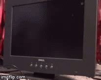 Windows Xp Startup Dell GIF Windows XP Startup DELL Monitor GIF を見つけて共有する