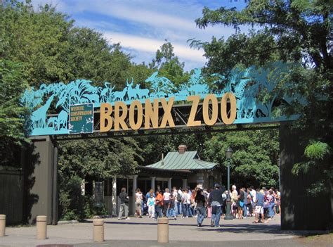 Bronx Zoo Nyc Arts