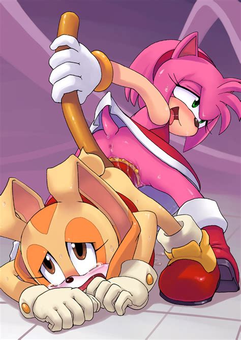 34491 Amy Rose Cream The Rabbit Sonic Team Sonic The