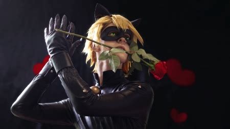 Shop for products with officially licensed images & designs. Chat Noir - Fantasy & Abstract Background Wallpapers on ...