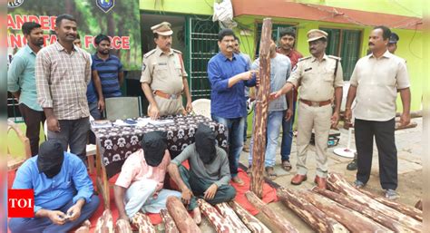 Red Sanders Logs Worth Rs 75 Lakh Seized 3 Arrested In Andhra Pradeshs Nellore Amaravati