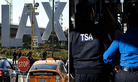 Tsa Agent Tricked Passenger At Lax Into Showing Him Her Breasts Twice