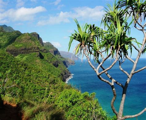 Tropical Island In Hawaii Free Image Download