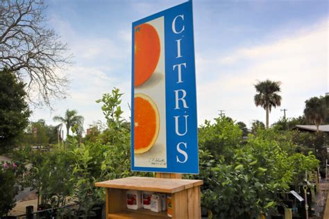 Citrus In Crisis A Tale Of Floridas History Of Citrus Growing Citrus