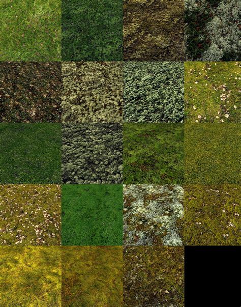 Free Photo Moss Texture Close Green Macro Free Download Jooinn