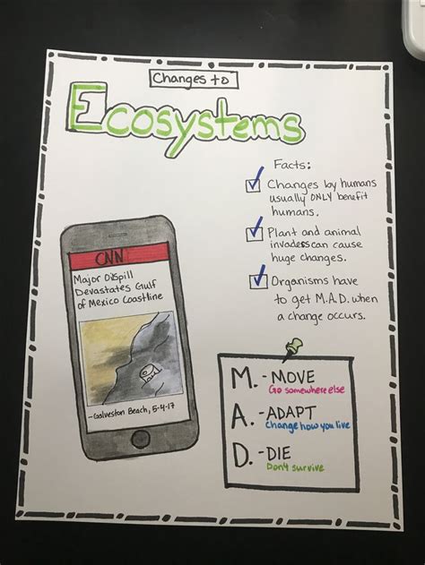 Changes To Ecosystems Anchor Chart Fourth Grade Science 4th Grade