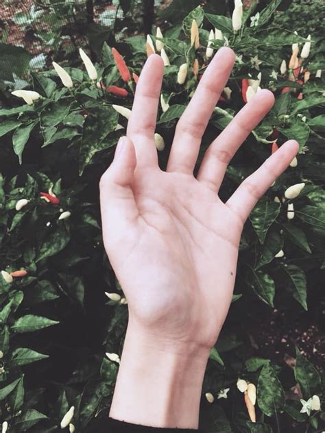 ghim của dừa trên tay ️ beautiful bàn tay thân thể