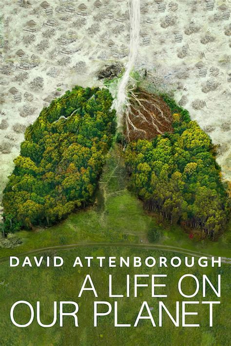 David Attenborough A Life On Our Planet 2020 Posters — The Movie
