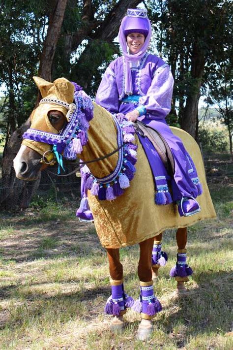 Anms 2015 Horse Fancy Dress Morgan Horse Association Of Australia