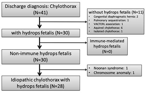 Frontiers Staged Management Of Congenital Chylothorax With Hydrops