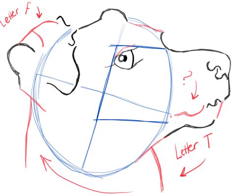 In case of drawing a dog's face, begin by sketching a reference line to indicate the center of a face. How to Draw a Terrier's Face / Dog's Face with Easy Steps - How to Draw Step by Step Drawing ...
