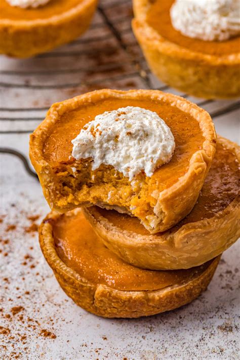 Mini Pumpkin Pies Recipe The Novice Chef