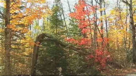 New York State Launches First Fall Foliage Report Of