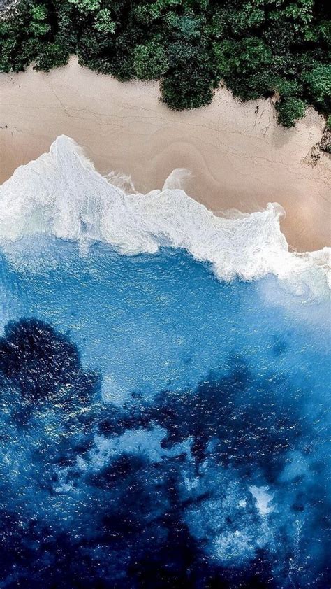 An Aerial View Of The Ocean With Trees In The Foreground And Sand On