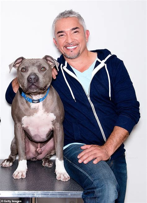 Cesar Millan Denies His Pit Bull Attacked Gymnast And Fatally Mauled