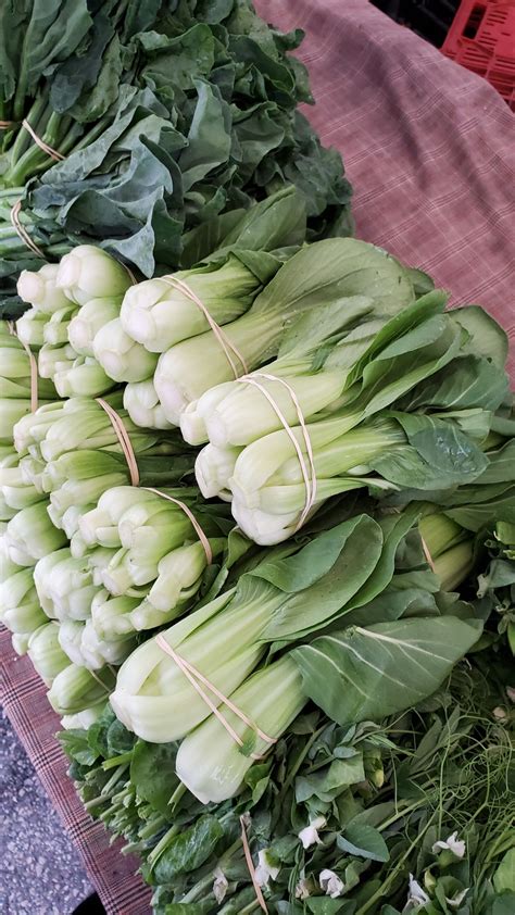 Shanghai Bok Choy Information Recipes And Facts