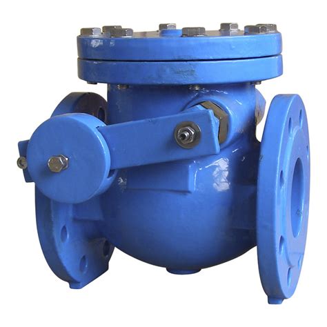 China Bs 5153 Double Flange Swing Check Valve With Lever Weight Photos