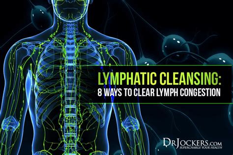 Lymphatic Cleansing 8 Ways To Clear Lymph Congestion Lymph Massage