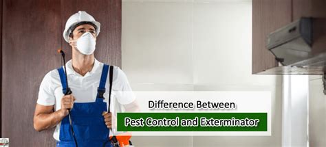 Difference Between Pest Control And Exterminator Pest Terms