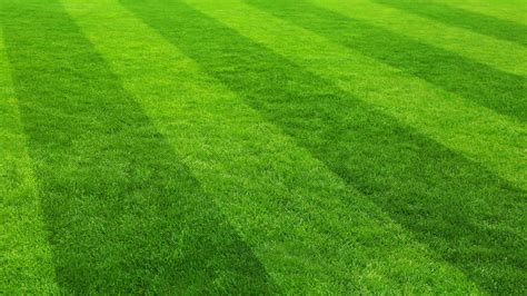 The Best Way To Stripe Your Lawn Lawnstar