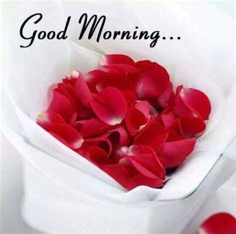 Pin By Dinesh Kumar Pandey On Good Morning Good Morning Love Good Morning Wednesday Good