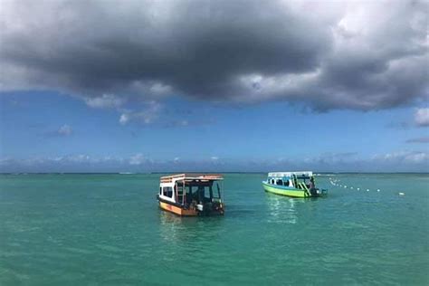 2023 Little Tobago Provided By Sensational Tour Tripadvisor