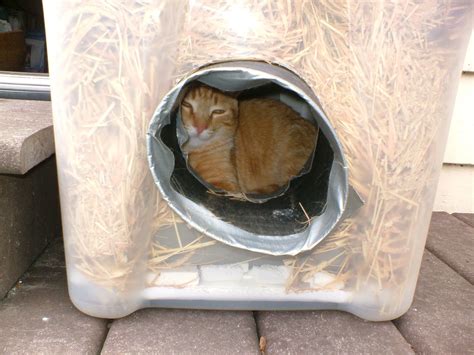 Each living breathing animal has the right to live however, the feral cat population is completely out of control. The Very Best Cats: How to Make a Winter Shelter for an ...