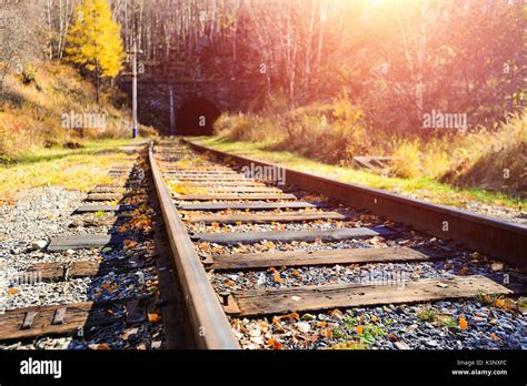 Railway Track With Fall Leaves And Tunel Background Stock Photo Alamy