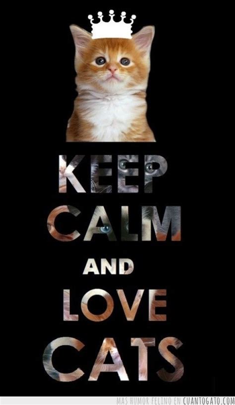 Keep Calm And Love Cats Pictures Photos And Images For Facebook