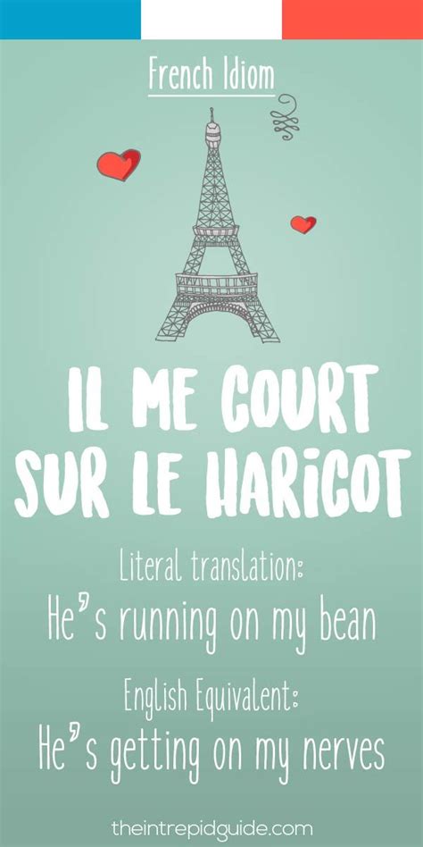 French Idiom Il Me Court Sur Le Haricot French Verbs French Grammar