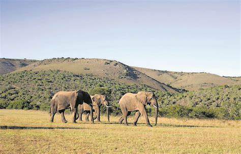 Why We Must All Visit South African National Parks The Mail And Guardian